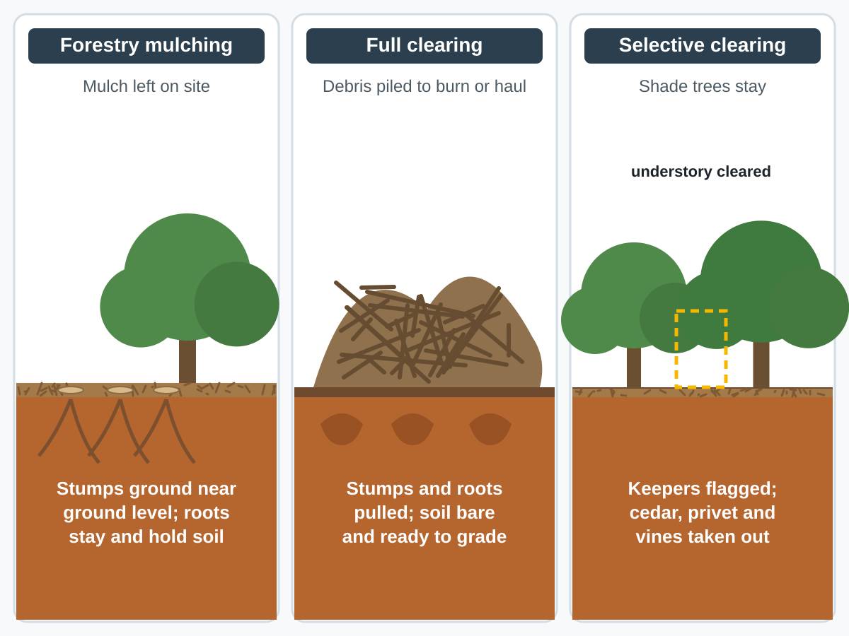 Three-panel drawing comparing clearing methods: forestry mulching leaves a mulch layer with stumps ground near ground level and roots in the soil; full clearing pulls stumps and roots and piles debris, leaving bare soil; selective clearing keeps flagged shade trees and removes the understory.