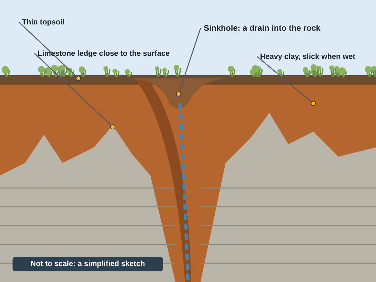Simplified cross-section of Maury County ground: thin topsoil over heavy clay, limestone ledges rising close to the surface, and a sinkhole funneling water down into the rock. Not to scale.