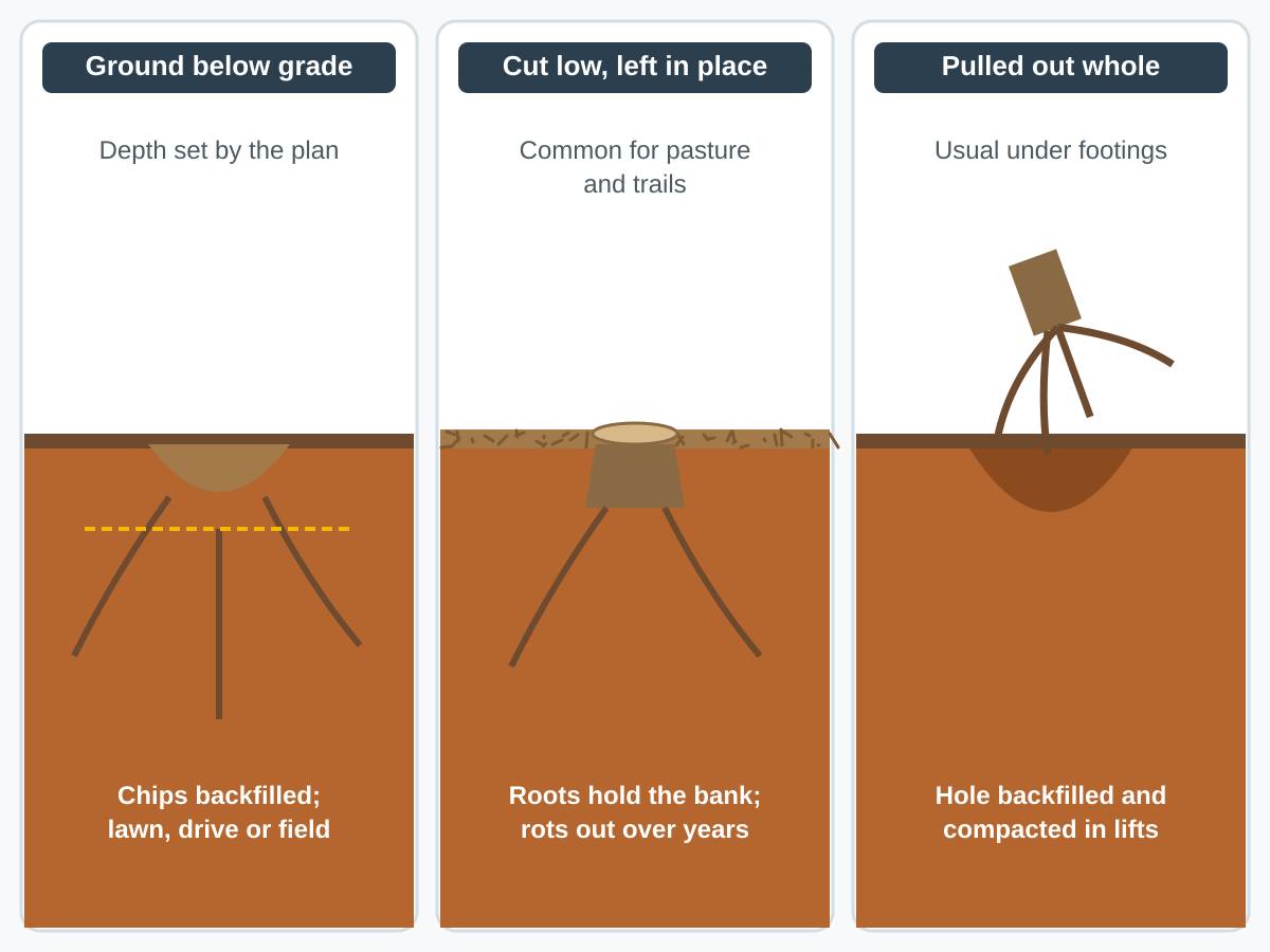 Three-panel drawing of stump options: a stump ground below grade with chips backfilled and roots left deeper; a stump cut low and left in place under a mulch layer; and a stump pulled out whole with its root ball, leaving a hole to backfill.